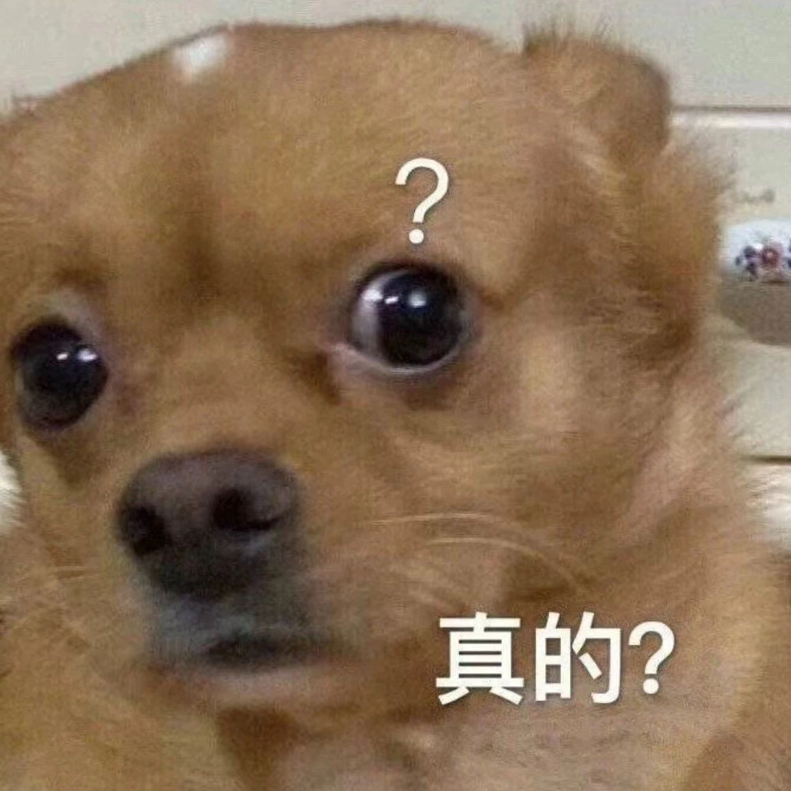 用211的分数读“职业本科”,它怎么突然就火成了香饽饽?