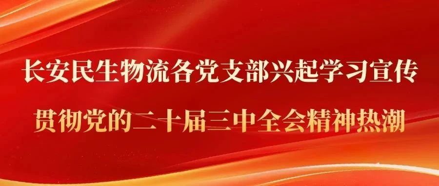 长安民生物流各党支部兴起学习宣传贯彻党的二十届三中全会精神热潮