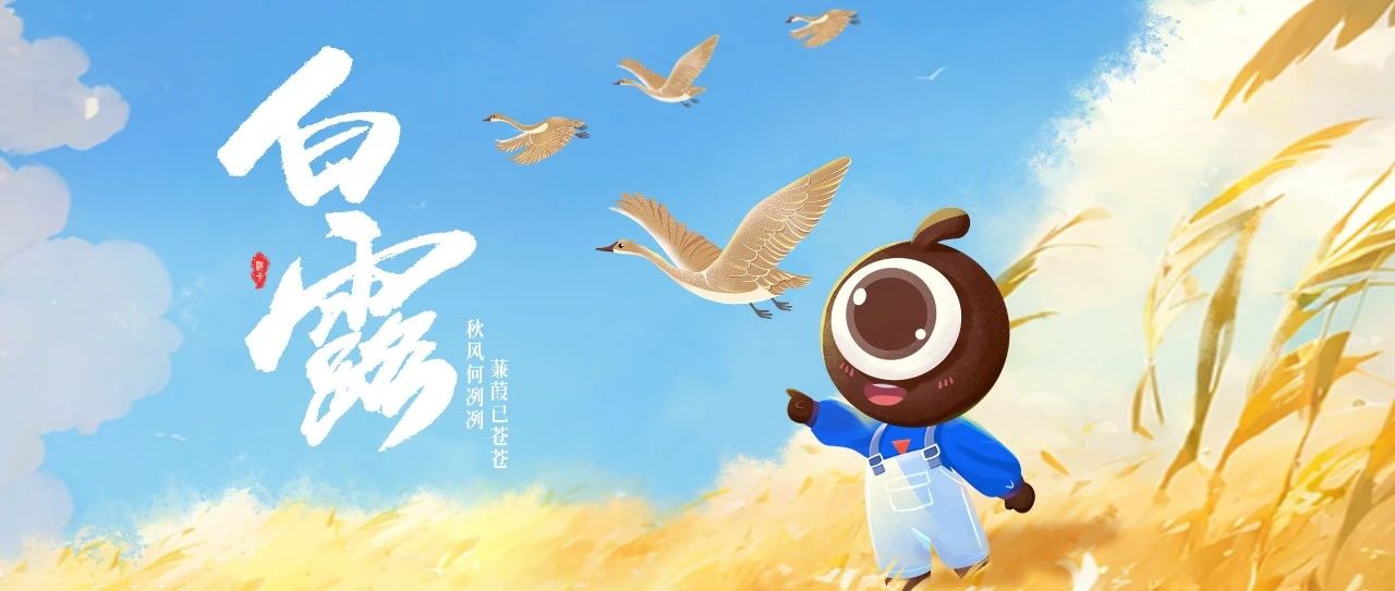 白露丨秋风何冽冽，蒹葭已苍苍