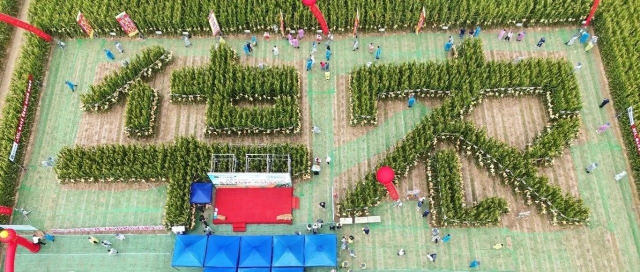 北京华农伟业2024-2025合作伙伴创富丰收峰会（华农丰收节）取得圆满成功！