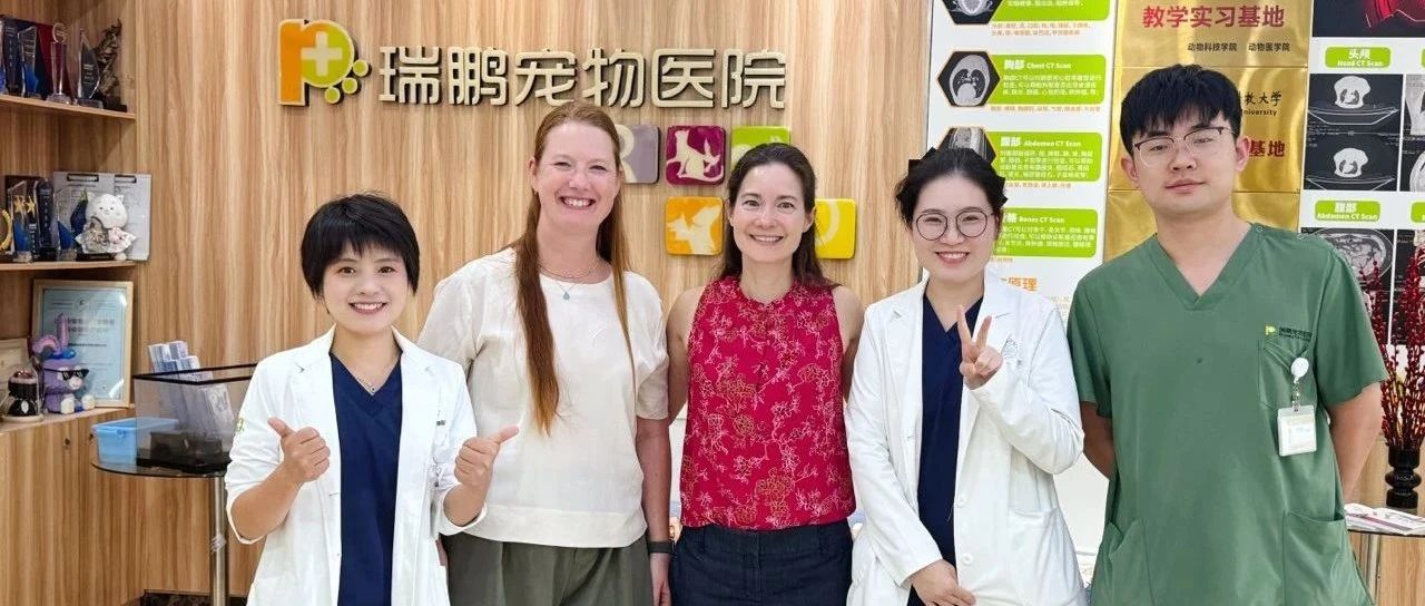 上海瑞鹏黄兴宠物医院|中外医疗交流，共绘宠物健康新篇章