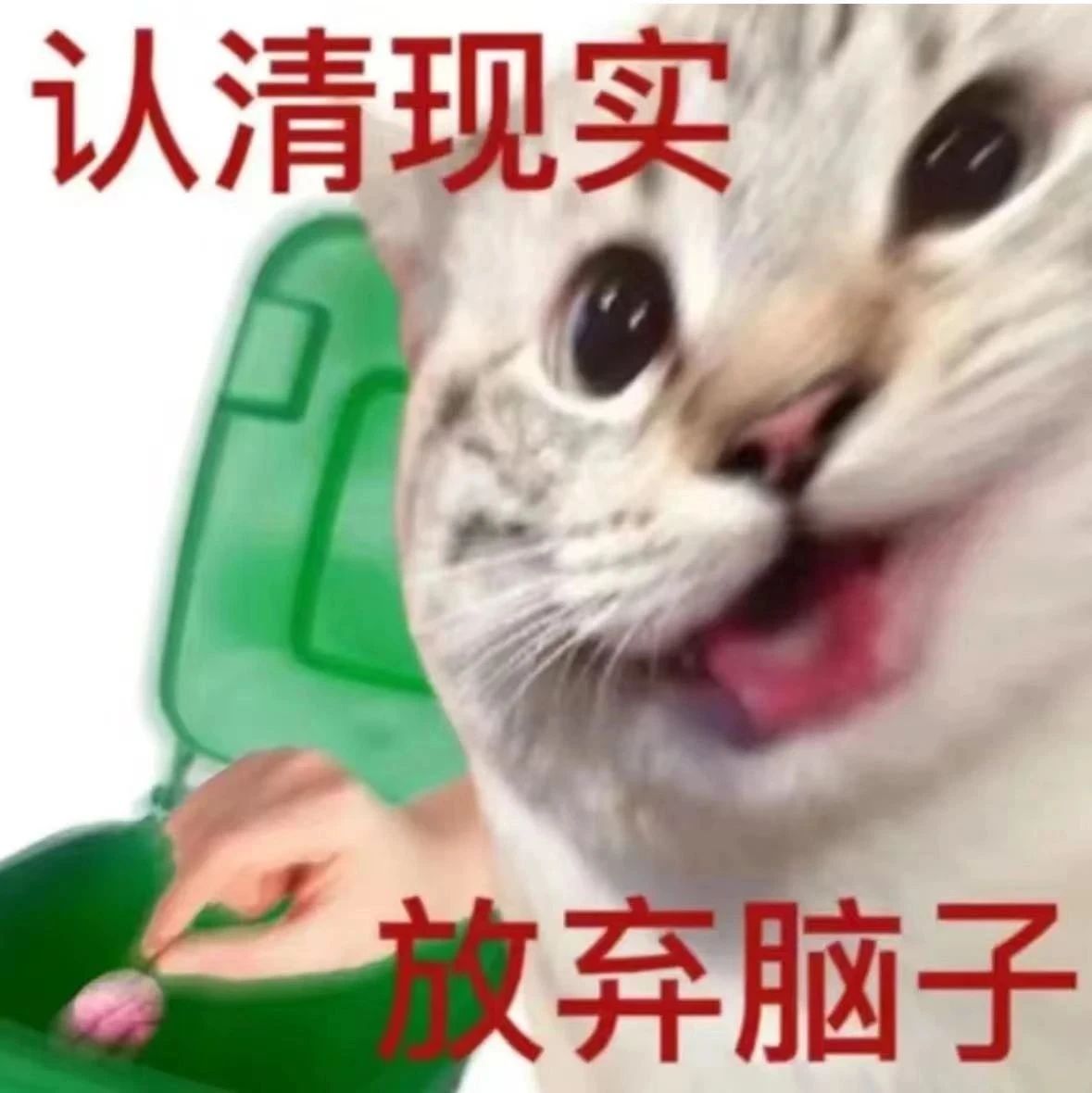 高考完那一刻你在想什么？网友：感觉到俺的脑子开始离家出走？！