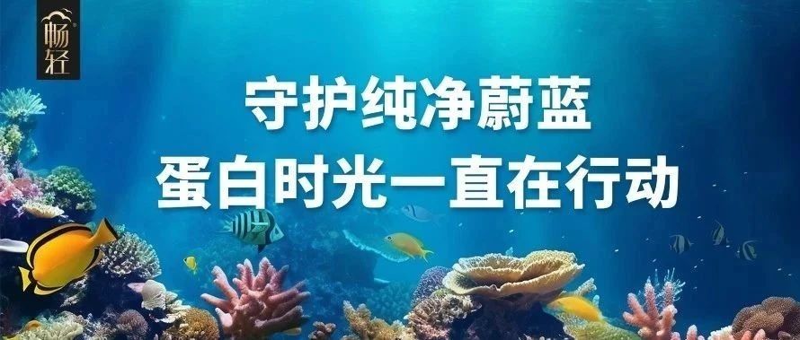 畅轻X蚂蚁森林丨查收来自神奇海洋的呼唤