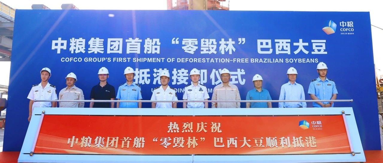 中国首单！“零毁林”大豆成功抵达天津港