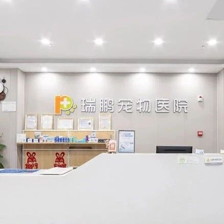 了不起的中心医院|探访瑞鹏南宁东葛中心医院：专业精锐、为爱护航、客户至上、真情服务