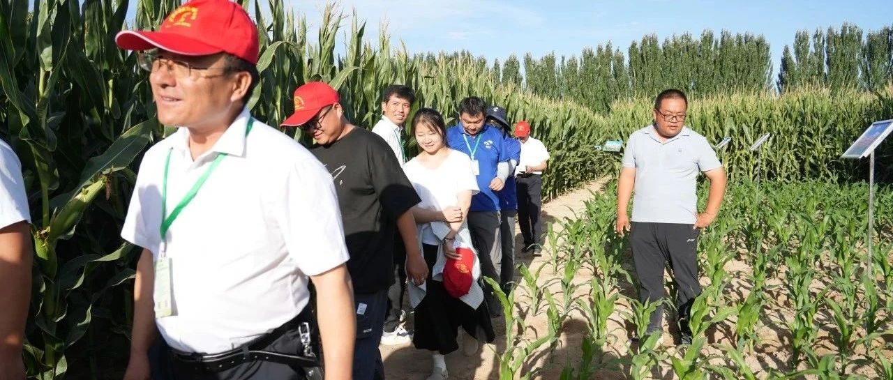 大北农生物引领生物育种新趋势，助力南北学院玉米育种交流研讨会成功举办
