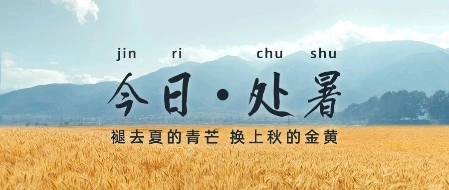 今日处暑|四时俱可喜,最好新秋时