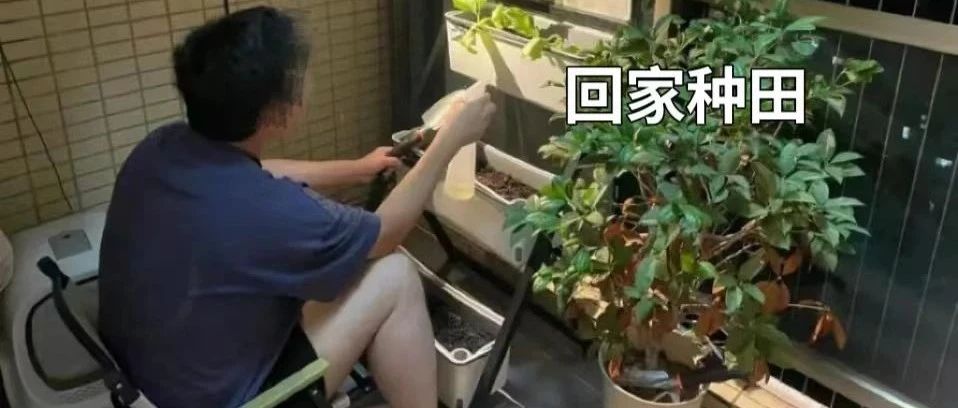 第一批在家里种田的年轻人，已经把阳台“爆改”成塑料大棚了
