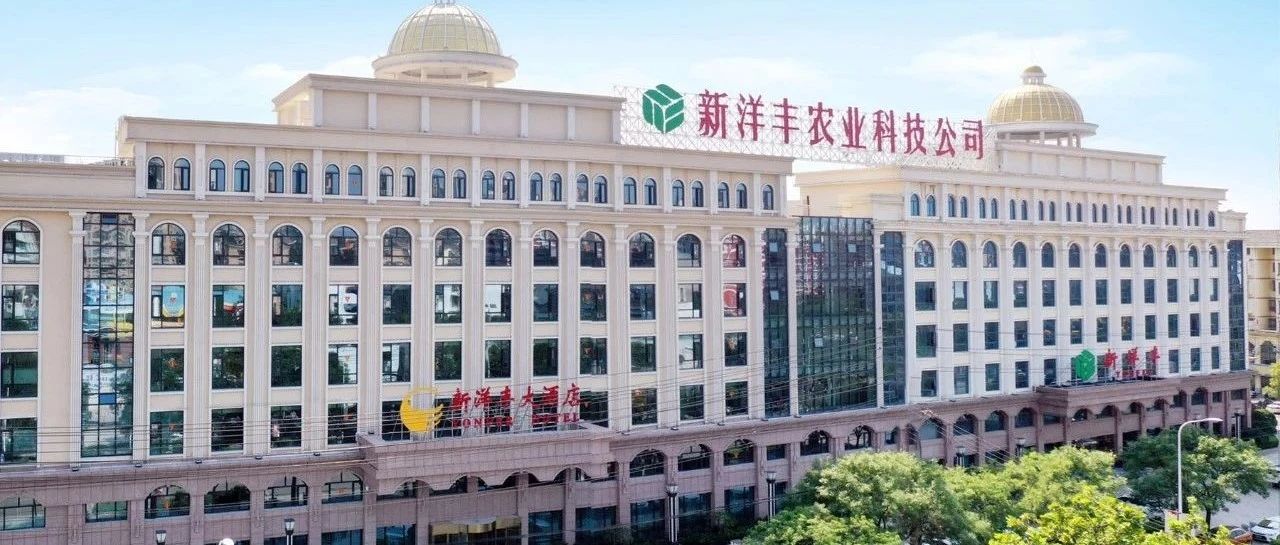【典型项目】以“数”治企，向“智”而行——新洋丰智能工厂项目，引领煤制合成氨行业数智化新未来！