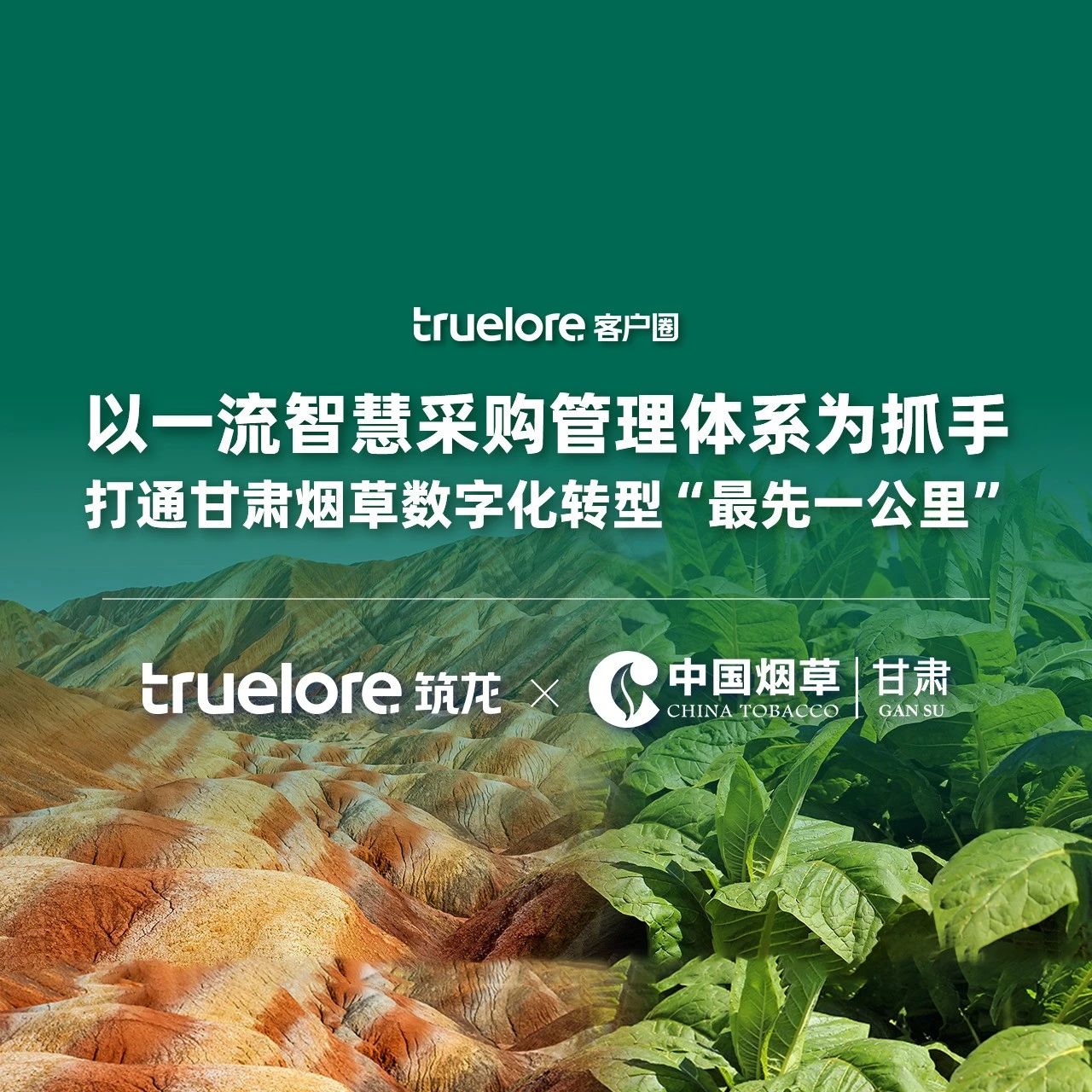以一体化采购平台为抓手，打通甘肃烟草数字化转型“最先一公里”