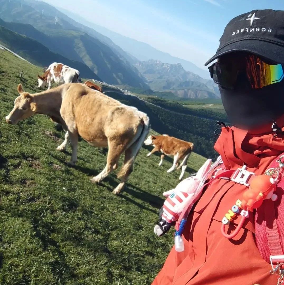 爆火！中秋国庆订单几乎排满！6名大学生组团陪爬泰山月入1万5