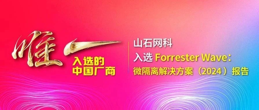 唯一中国品牌！山石网科微隔离方案 喜提全球知名咨询机构认证