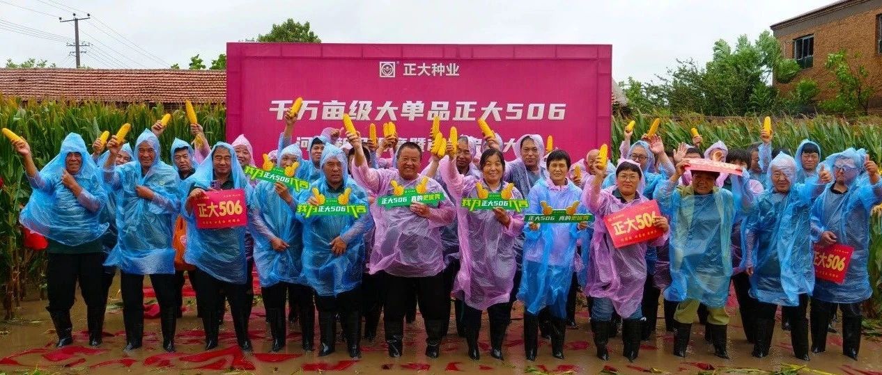 千万亩级大单品正大506河北新品观摩暨市场启动会胜利召开