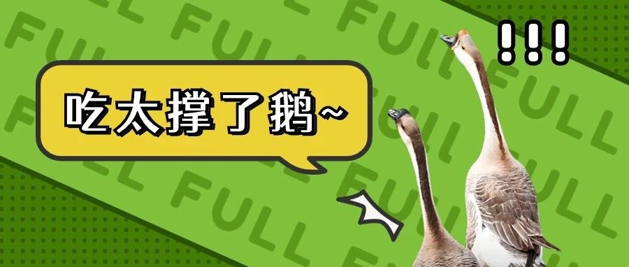 在三只松鼠上班 是一种怎样的体验？