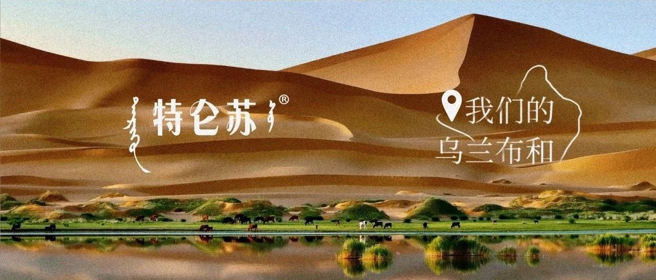 乌兰布和，一种客观的美