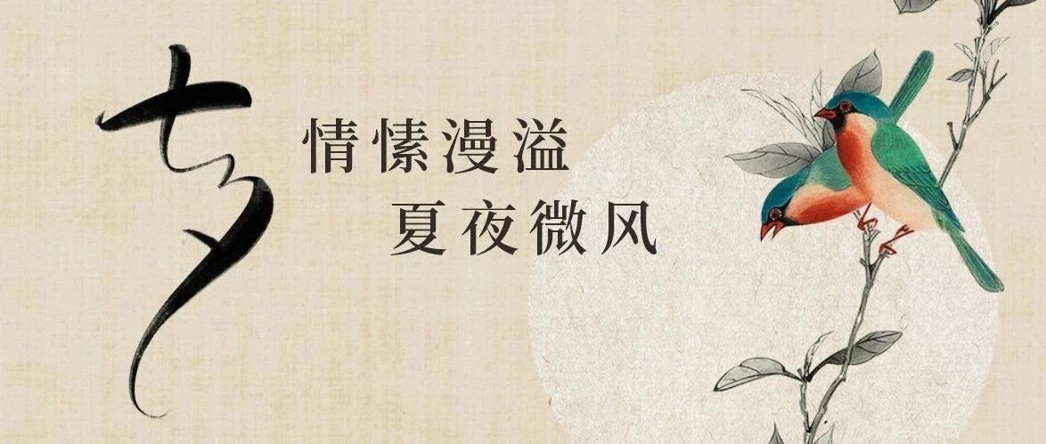 Valentines Day  |  夏夜微风 · 情愫漫溢