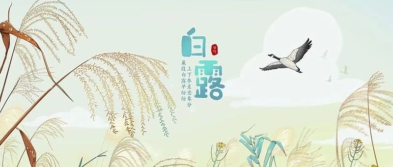 今日白露|草木染霜，湖山露浓煮星光