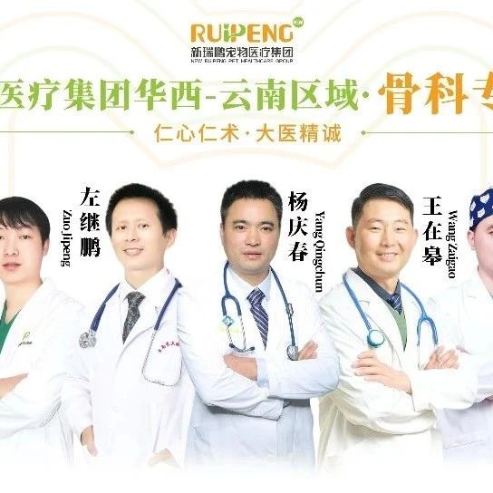 【新瑞鹏云南·眼科专科】为宠物守护明亮双眸。