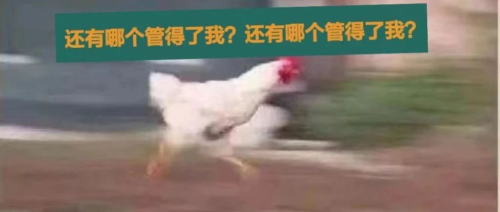 9月编辑部破事 ｜ 准备卷铺盖滚蛋了，抓个人替我上班