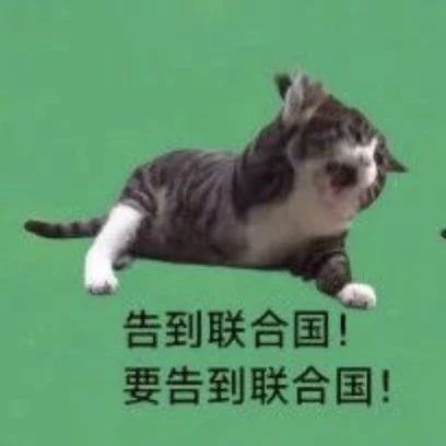 晚11点后上厕所算重大违纪，离谱校规主打“为学生好”？