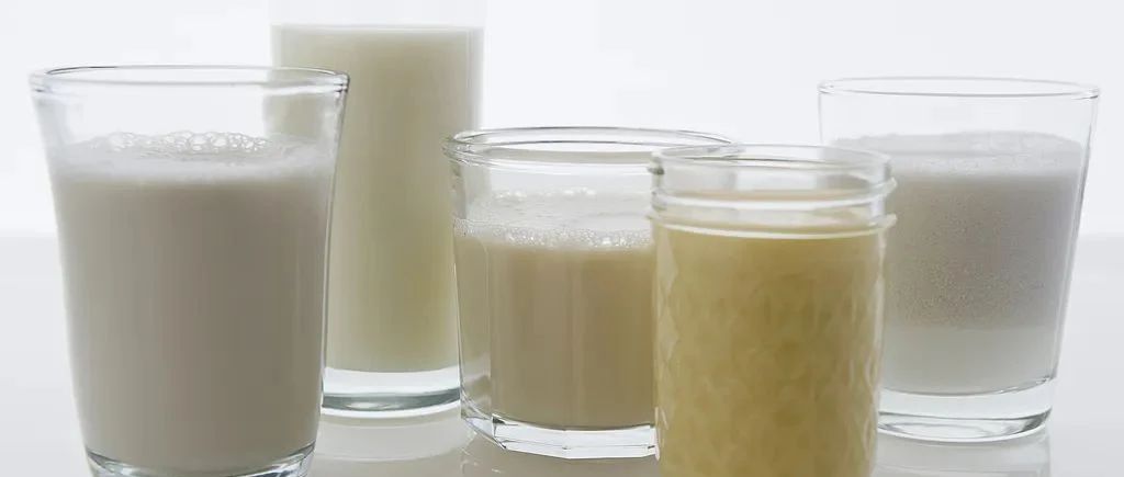 看、品、闻，学会辨别高品质牛奶 | 奶思奶知识㊼