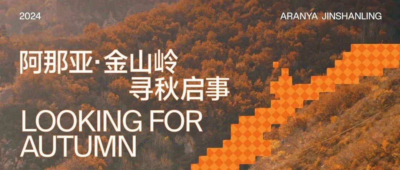 红叶进度已达70%！限定30天的金色阿那亚·金山岭，速来寻“秋”