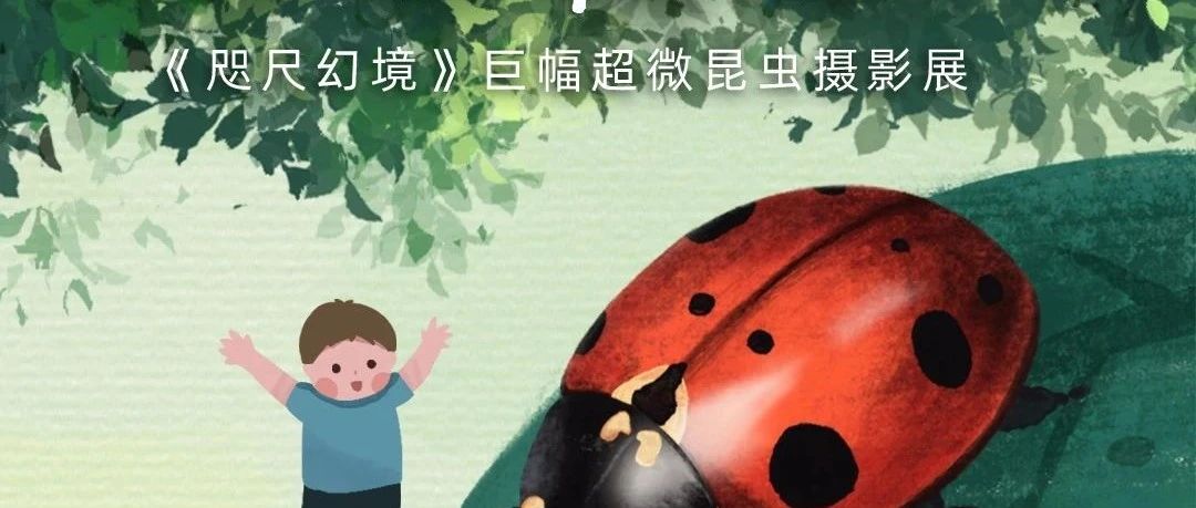 《咫尺幻境·巨幅超微昆虫摄影展》杭州站震撼开启！TCL华星邀您共赏微观奇境