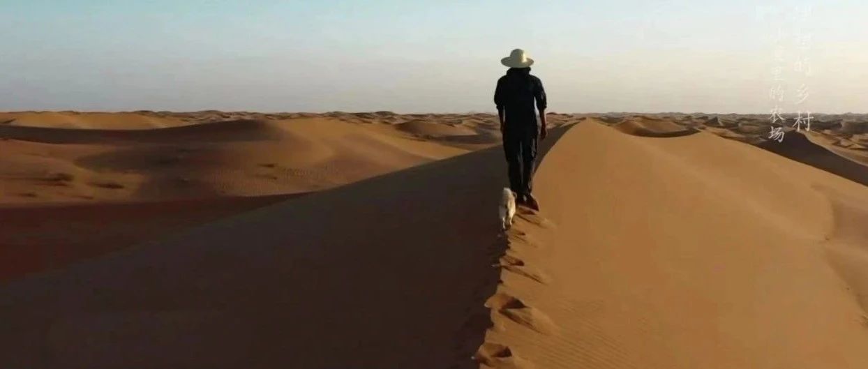 冷门到评分都没有？这部没有人设滤镜的真实国产片，值得闭眼打五星