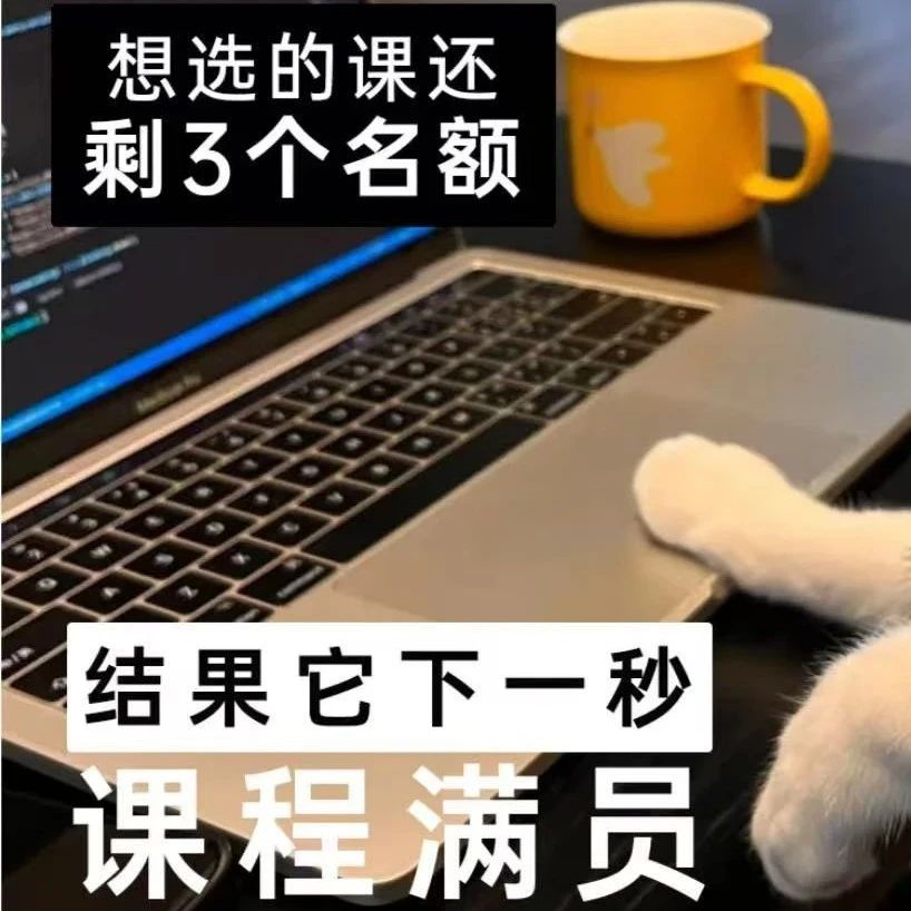 花最少时间、学最烫知识技能，高校“微专业”香迷糊了？