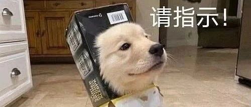 姐弟俩在同一所大学读书，网友：可能是习俗不一样，我们这里上学不用带仆人哈哈哈哈
