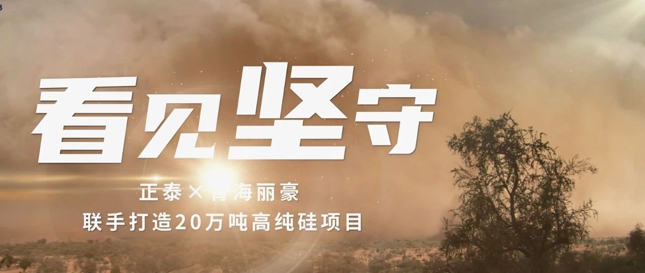 打造产业高地，燃绿电“引擎”——正泰电气助力青海丽豪追“光”逐“绿”，领跑行业新赛道