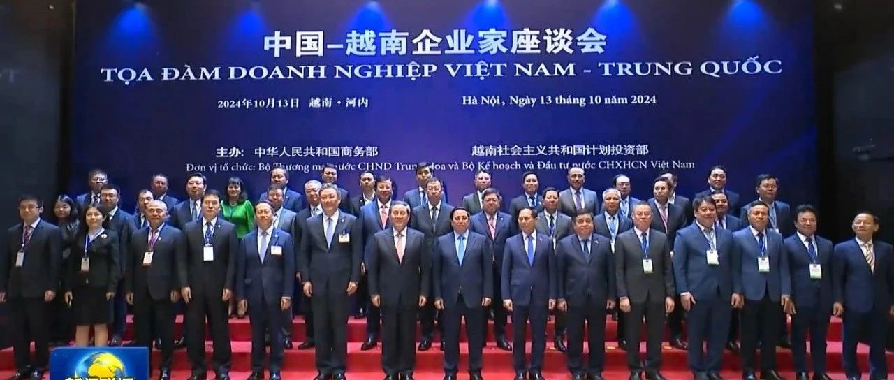 阳光新能源张许成出席中国-越南企业家座谈会