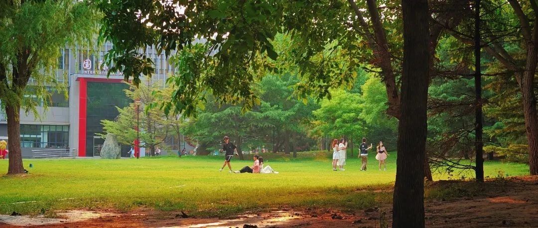 燕理三折叠 怎么折都有面