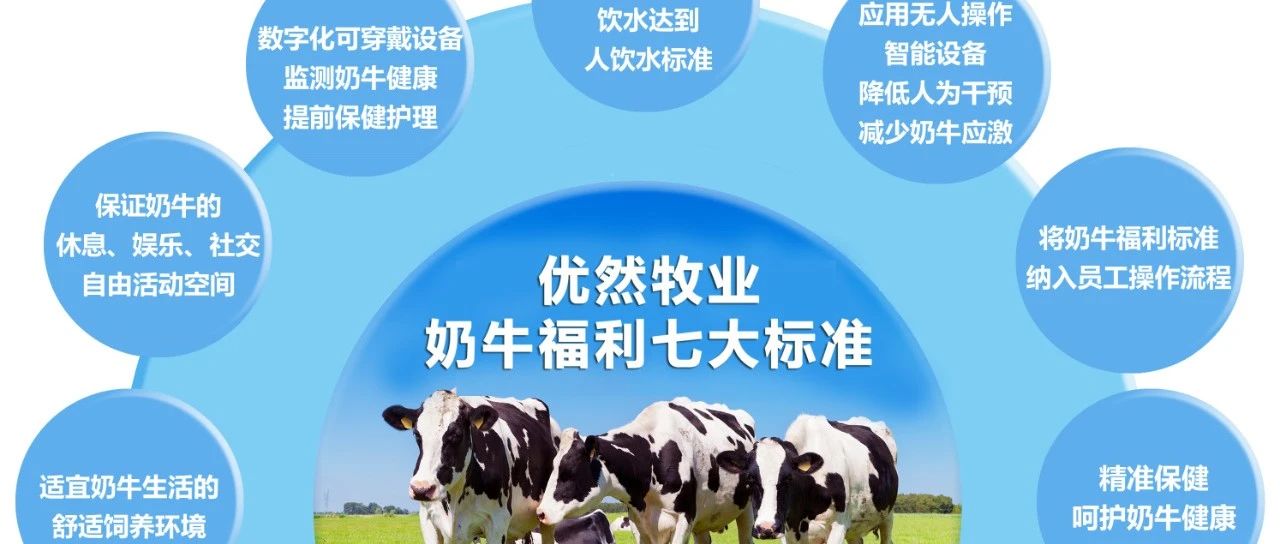 优然牧业奶牛福利标准再升级   引领奶牛健康养殖新风尚