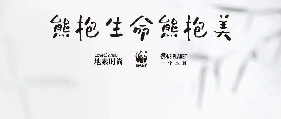 DAZZLE & RAZZLE 熊猫公益胶囊系列正式发布