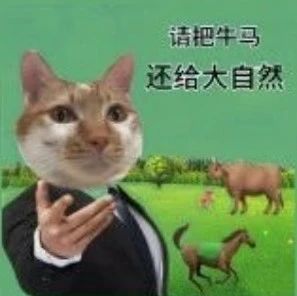 00后流行做股民和数字游民？网友：前途一片夕阳红啊