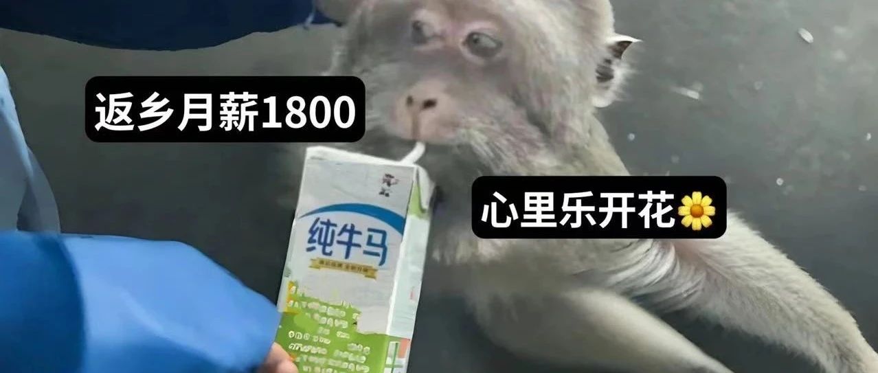 攒够2w就回县城？为了回家种田，年轻人可以拼命🤡🤡🤡🤡🤡🤡🤡🤡🤡🤡