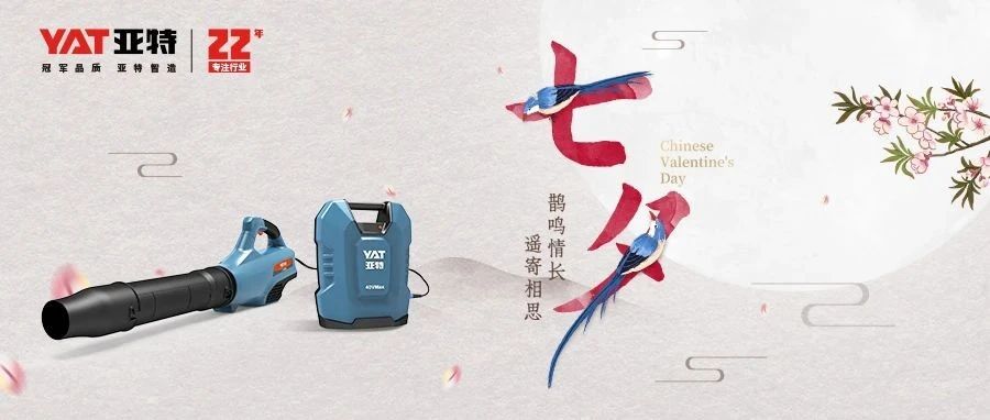 鹊鸣情长，遥寄相思