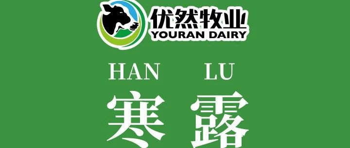 今日寒露