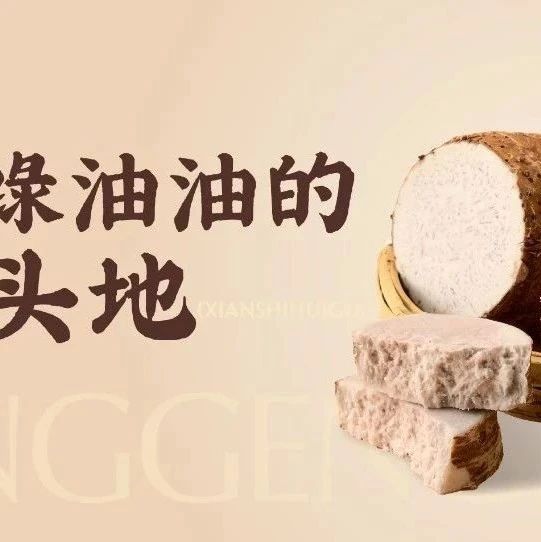 【东更道】上新预告｜小东我在广西为你包了块地！！