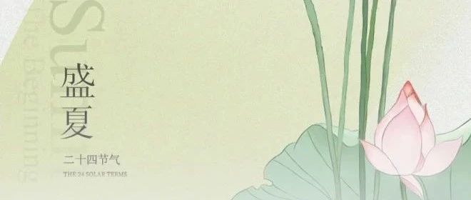 大暑节气 | 在莲花烧烤平台捕捉夏日烟火气