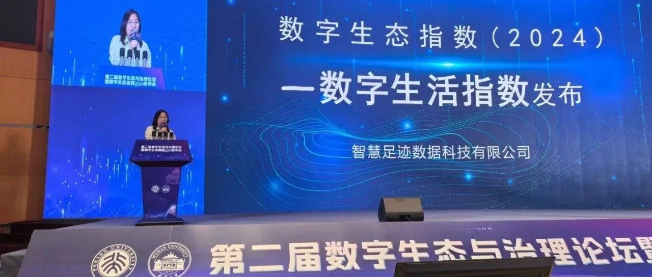2024年数字生活指数报告