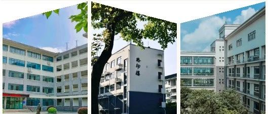 南理版“三折叠”，怎么折都有面！