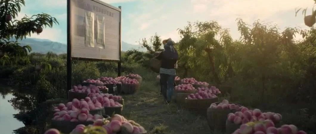 【金融教育】防范非法集资公益广告