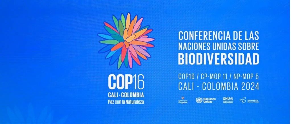 人均一片绿洲！COP16大会蒙牛发布“绿洲计划”公益项目