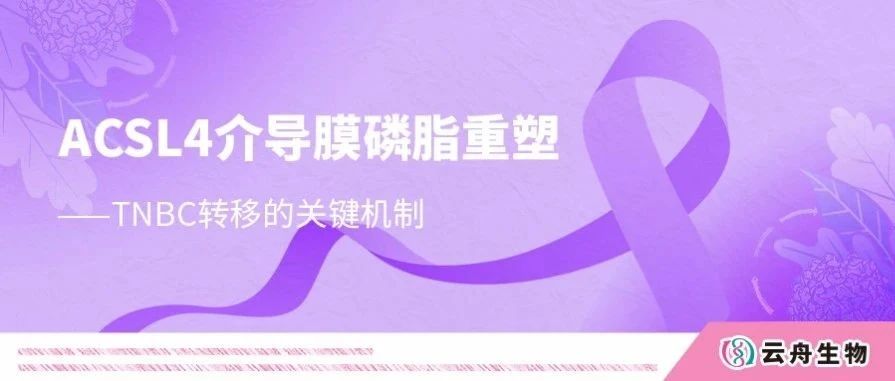 Cancer Research|重庆医科大学唐曦和柳满然教授团队揭示ACSL4通过介导膜磷脂重塑促进三阴性乳腺癌转移的新机制