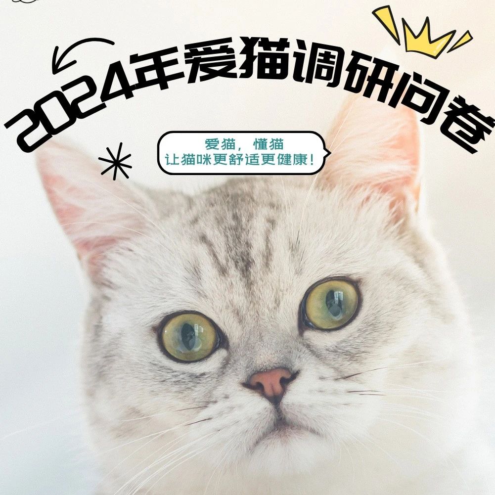 2024年爱猫调研问卷