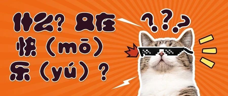 这个夏天，我在松鼠……快（mō）乐（yú）