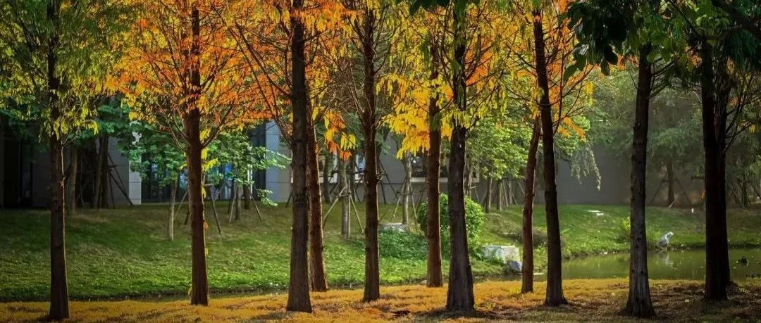 声动南理｜来听听南理校园万物之声吧