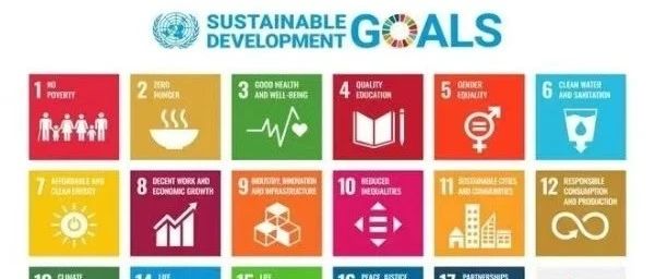 联合国人口基金实习生开始招募啦！